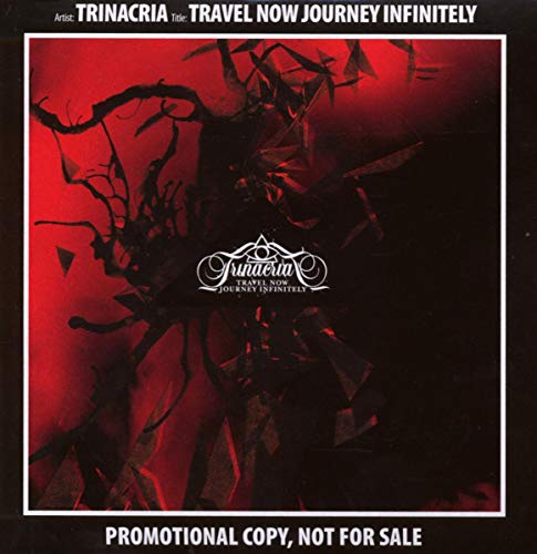Travel Now Journey Infinitely (Ltd.Edition) von INDIE RECORDINGS