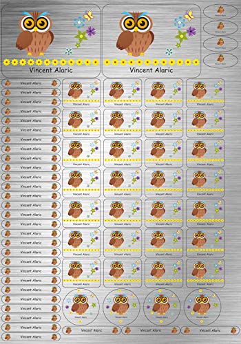 INDIGOS UG Namensaufkleber Kinder Schule Edelstahllook - 088 - Eule - 69 Sticker personalisiert - Namensschilder für KITA, Stifte, Lineale, Federmappen - Etiketten selbstklebend von INDIGOS UG