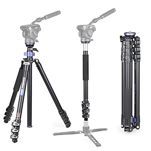 INNOREL MT70 Professionelles, multifunktionales, kompaktes Videostativ mit Fast Flip Buckle 360-Grad-CNC-Aluminium Umrüstbar auf Einbeinstativ für DSLR, Kamera, Video, Camcorder von INNOREL