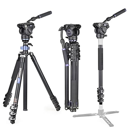 INNOREL MT70 Professionelles Videokamera-Stativ 183 cm, mit Fluid-Drag-Kopf, 4-teiliges kompaktes Aluminiumstativ, umwandelbar in Einbeinstativ für DSLR-Kamera, Video-Camcorder von INNOREL