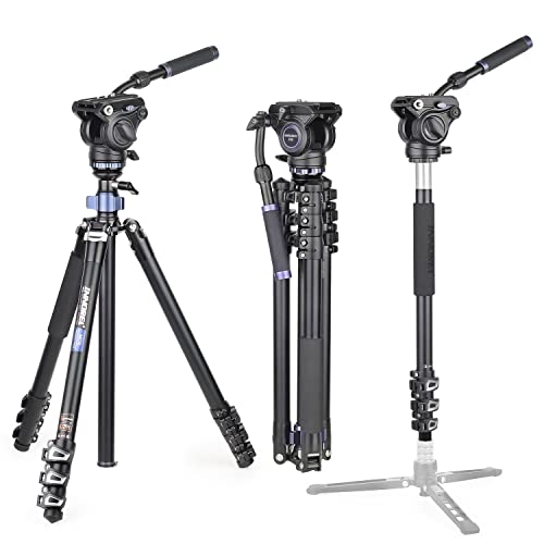 INNOREL MT70 Professionelles Videokamera-Stativ 183 cm, mit Fluid-Drag-Kopf, 4-teiliges kompaktes Aluminiumstativ, umwandelbar in Einbeinstativ für DSLR-Kamera, Video-Camcorder INNOREL MT70 Professionelles Videokamera-Stativ 183 cm, mit Fluid-Drag-Kopf, 4-teiliges kompaktes Aluminiumstativ, umwandelbar in Einbeinstativ für DSLR-Kamera, Video-Camcorder von INNOREL