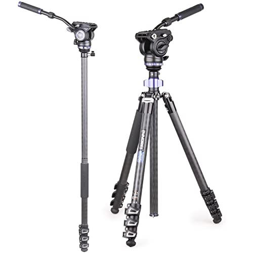 INNOREL MT70C 10-lagiges professionelles Videostativ-Kit aus Kohlefaser, mit Halbkugel-Nivellierer und Flüssigkeitskopf, Umrüstbar auf Einbeinstativ für DSLR, Kamera, Video, Camcorder INNOREL MT70C 10-lagiges professionelles Videostativ-Kit aus Kohlefaser, mit Halbkugel-Nivellierer und Flüssigkeitskopf, Umrüstbar auf Einbeinstativ für DSLR, Kamera, Video, Camcorder von INNOREL