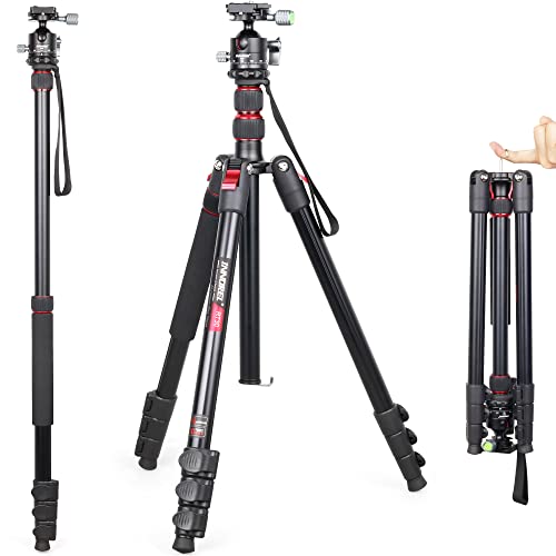 Professionelles Kamerastativ Einbeinstativ-INNOREL RT30, Leichtes Aluminium-Legierung Schneller Flip-Verschluss Maximale Höhe 195cm mit D36 CNC 36mm Niedrigprofil-Kugelkopf für DSLR-Kamera-Aufnahmen Professionelles Kamerastativ Einbeinstativ-INNOREL RT30, Leichtes Aluminium-Legierung Schneller Flip-Verschluss Maximale Höhe 195cm mit D36 CNC 36mm Niedrigprofil-Kugelkopf für DSLR-Kamera-Aufnahmen von INNOREL