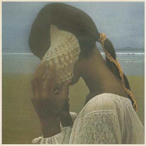 Allah-Las (Lp) [Vinyl LP] von Innovative Leisure