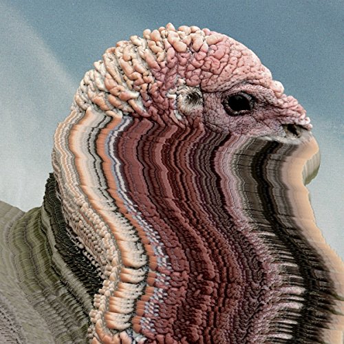 Bird Brains [Vinyl Maxi-Single] von INNOVATIVE LEISU