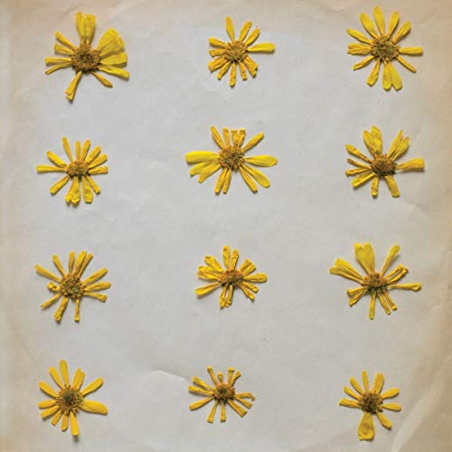Flowers In The Spring [Vinyl LP] von Innovative Leisure
