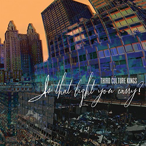 Is That Light You Carry [Vinyl LP] von MRI