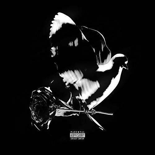 Shoot for the Stars Aim for the Moon (Dlx.Edt.) von INTERSCOPE