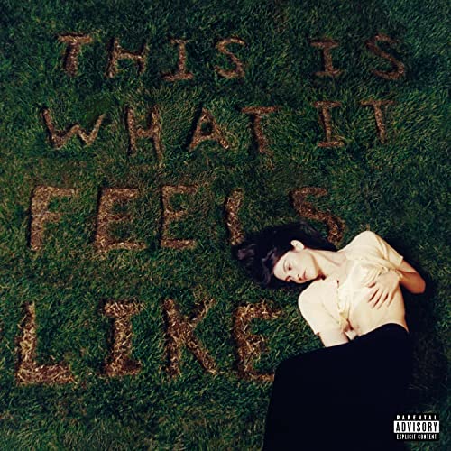 This Is What It Feels Like (Vinyl) [Vinyl LP] von INTERSCOPE