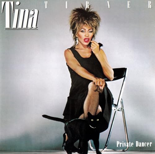 Private Dancer Private Dancer von INTOS ELECTRONIC AG