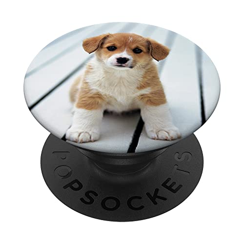 Pop Sockets Grip Ständer Tier Hund PopSockets mit austauschbarem PopGrip Pop Sockets Grip Ständer Tier Hund PopSockets mit austauschbarem PopGrip von IPKaKa