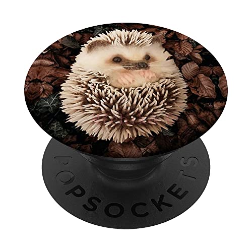 Pop Sockets Grip Stand Kaktus Igel PopSockets mit austauschbarem PopGrip von IPKaKa