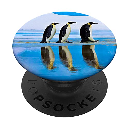 Pop Sockets Grip Stand Pinguin PopSockets mit austauschbarem PopGrip Pop Sockets Grip Stand Pinguin PopSockets mit austauschbarem PopGrip von IPKaKa
