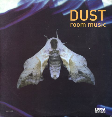 Dust Room Music [Vinyl LP] von IRMA REC