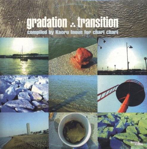 Gradation:Transition [Vinyl LP] von IRMA REC