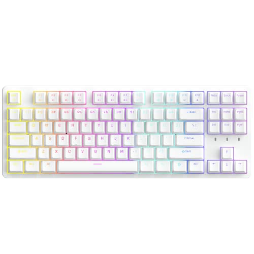 IROK FE87 Mechanische Tastatur, Hot Swappable RGB Gaming Tastatur, N Key Rollover, Anti Ghosting, TKL 87 Tasten Anpassbare Hintergrundbeleuchtung, von IROK