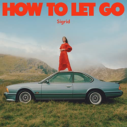 How to Let Go [Vinyl LP] von ISLAND