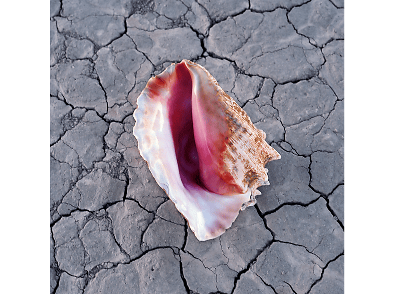 The Killers - Wonderful (Deluxe Edition) (CD) von ISLAND