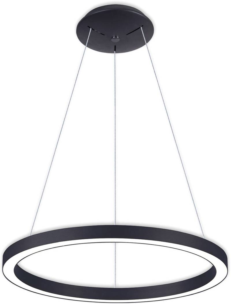 ISOLED LED Hängeleuchte Circle 580 schwarz, 48W, rund, ColorSwitch 3000|3500|4000K, dimmbar von ISOLED