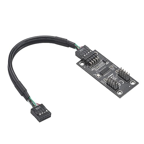 ISTOVO Hub USB Hub Splitter USB2.0 9Pin für Dual Adapter auf 9Pin Hub Riser Motherboard USB 9Pin 1 bis 2 Verlängerungskabel Frucht in Aktion Einfach zu bedienen von ISTOVO