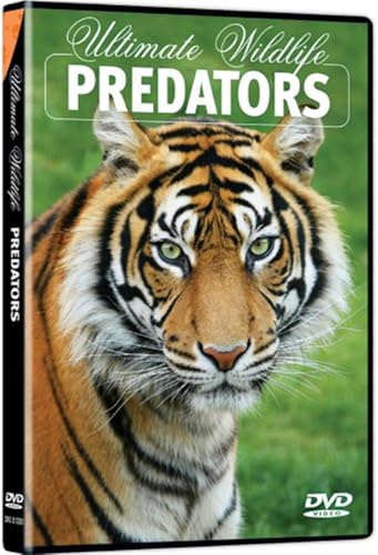 Ultimate Wildlife: Predators / (Ws Amar) [DVD] [Region 1] [NTSC] [US Import] von IT-S