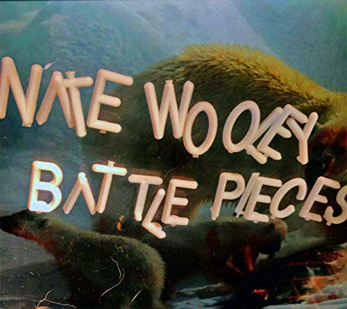 Wooley, Nat: Battle Pieces 4 [CD] von IT-S