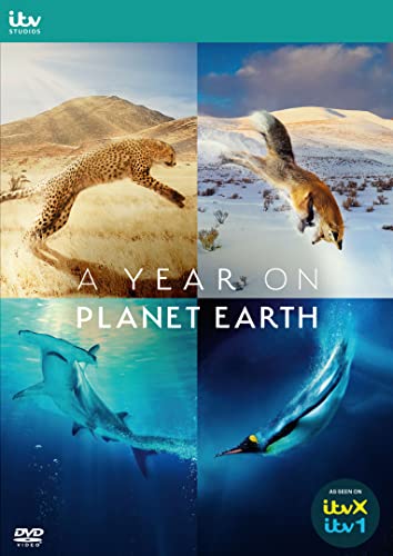 A Year on Planet Earth [DVD] von ITV Studios Home Entertainment