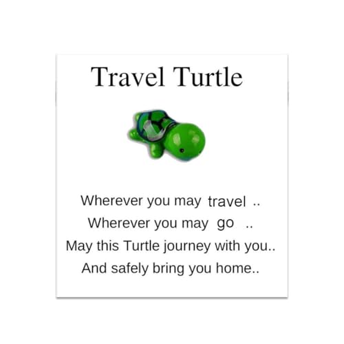 Mini Pocket Hug Turtle, Reiseschildkröte, inspirierendes Geschenk mit Karte, Dankeskarte, Grußkarte, Figur, Mini-Karten, Schildkröte von IUYQY
