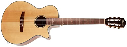 Ibanez AEG50N Natural Ibanez AEG50N Natural von Ibanez