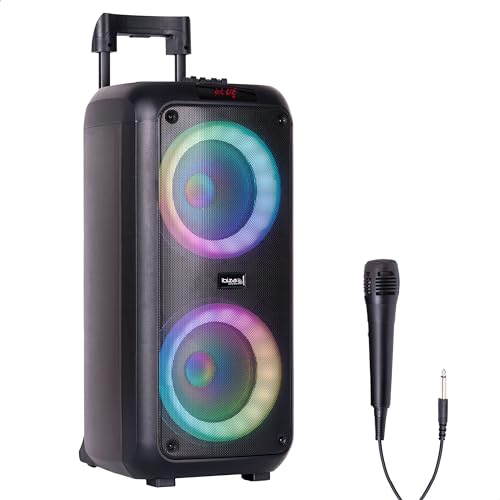 Ibiza - VENUS600-2x8"/20 cm, 600 W batteriebetriebener tragbarer Lautsprecher mit Lichteffekt auf der Vorderseite und kabelgebundenem Mikrofon - Bluetooth, USB, microSD, AUX und MIC - Schwarz von Ibiza