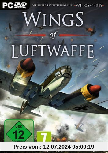 Wings of Luftwaffe (PC) von Iceberg Interactive