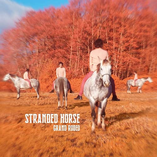 Grand Rodeo (Black Vinyl) [Vinyl LP] von Ici d'ailleurs