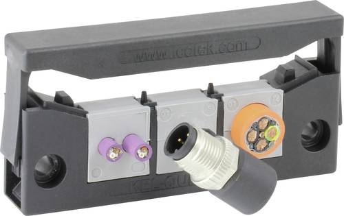 Icotek KEL-QUICK E3 Kabeleinführungsleiste Polyamid Schwarz 1St. von Icotek