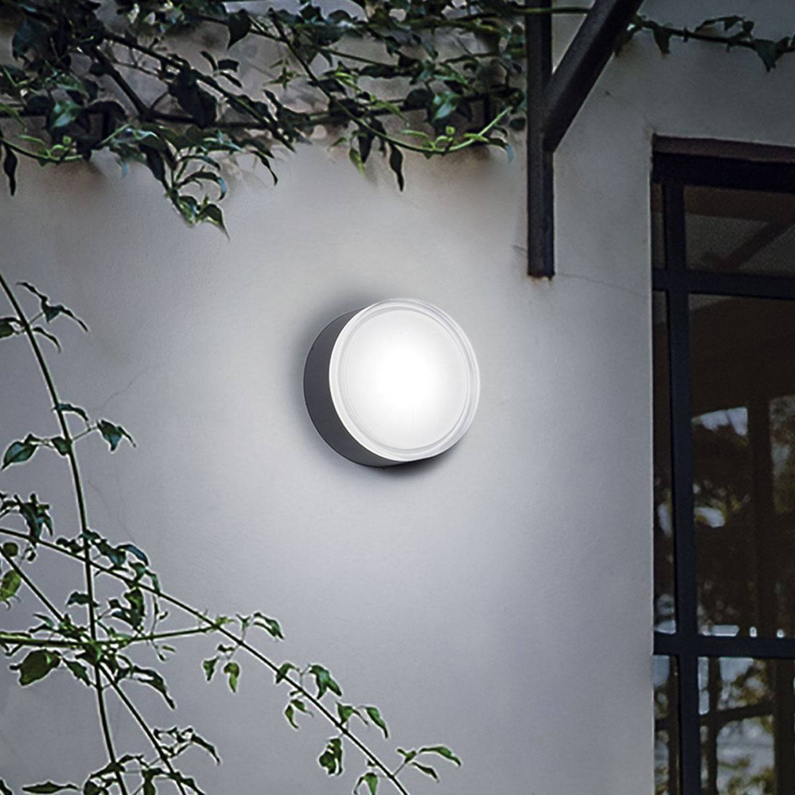 Ideal Lux Außenwandleuchte Urano anthrazit Aluminium Ø 16 cm Ideal Lux Außenwandleuchte Urano anthrazit Aluminium Ø 16 cm von Ideallux