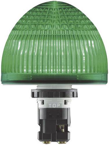 Idec Signalleuchte LED HW1P-5Q4G HW1P-5Q4G Grün Dauerlicht 24 V/DC, 24 V/AC von Idec