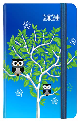 Idena 11430 - Motivkalender 2020 Eule 9 x 14 cm von Idena