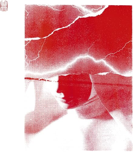 Siamo Tutti in Pericolo [Vinyl LP] von Ideologic Organ