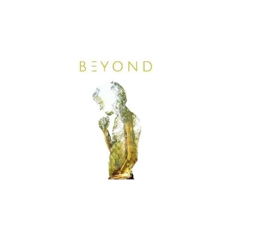 Beyond von Idol