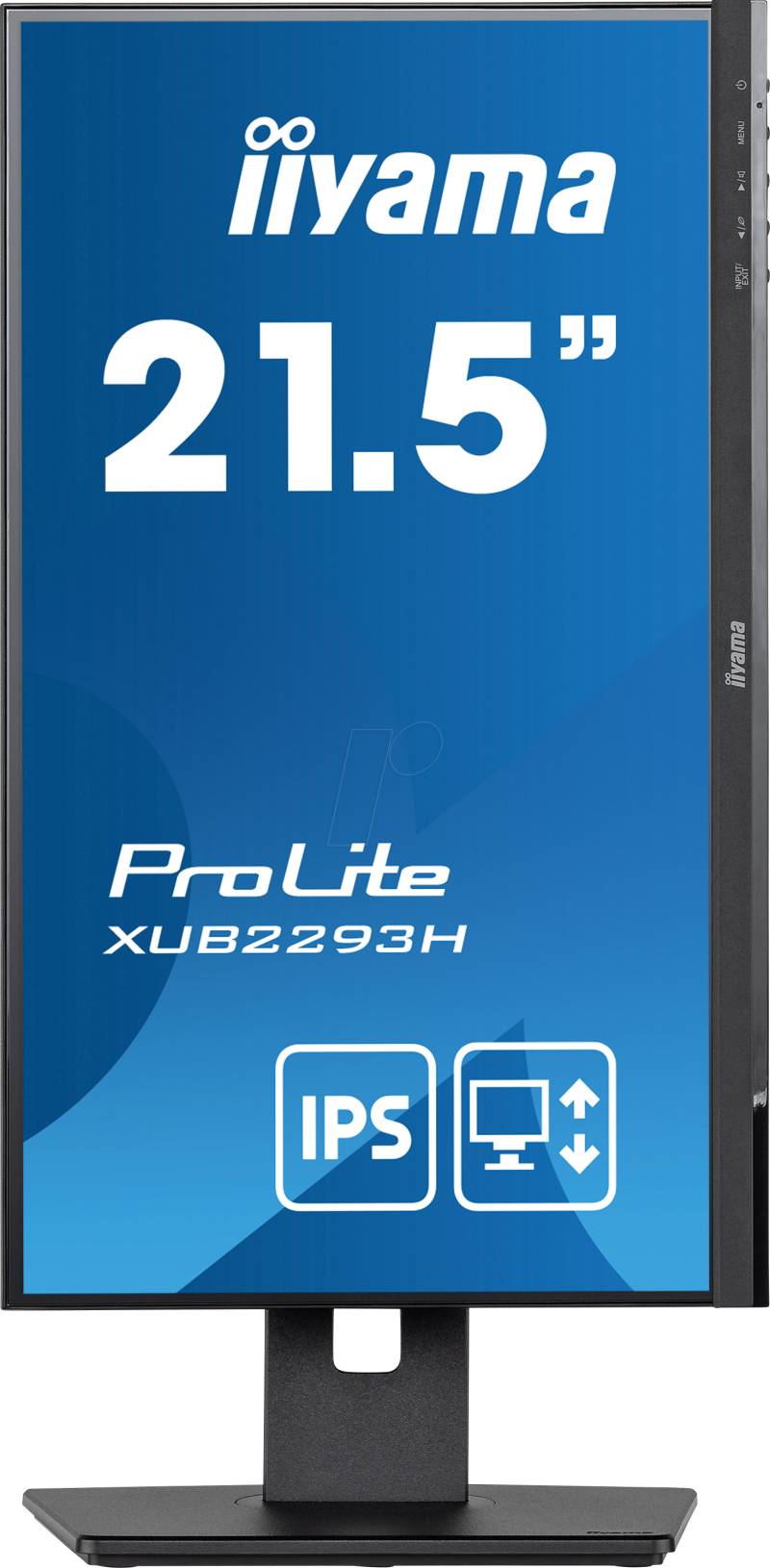 IIY XUB2293HSB5 - 55cm Monitor, Full HD, Lautsprecher, Pivot von Iiyama