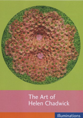 The Art Of Helen Chadwick [DVD] von Illuminations