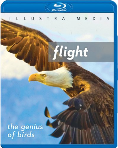 Flight: The Genius of Birds [Blu-ray] von Illustra Media