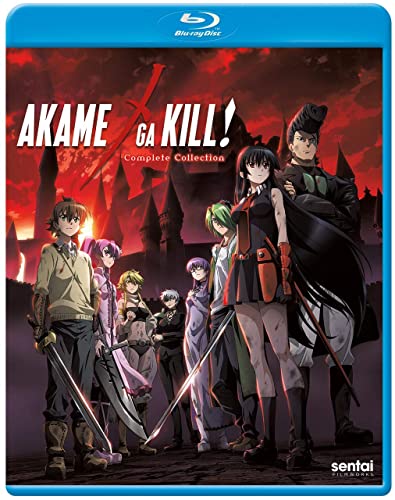 Akame Ga Kill: Complete Collection [Blu-ray] von Image Entertainment