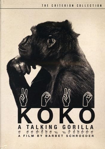 Koko, le gorille qui parle von Image Entertainment