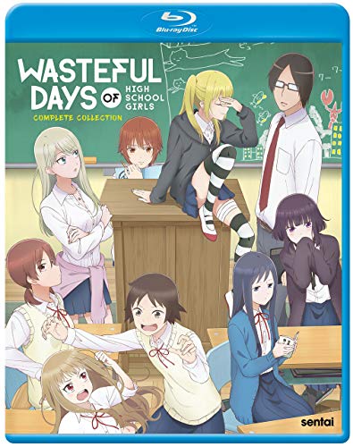 Wasteful Days Of High School Girls [Blu-ray] von Image Entertainment