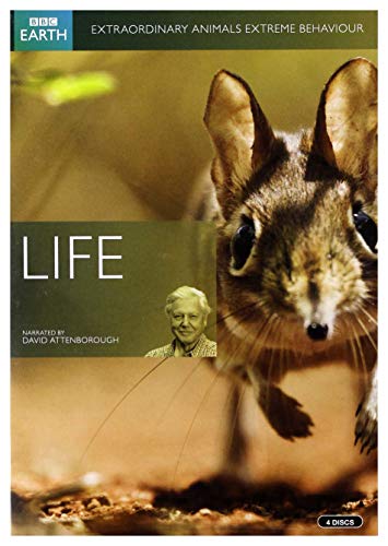 LIFE - Life (4 DVD) von Import-L