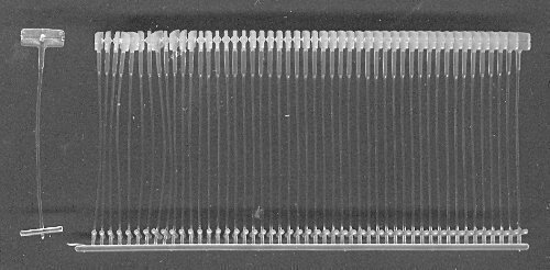 5000 Heftfäden 15mm standard von Import