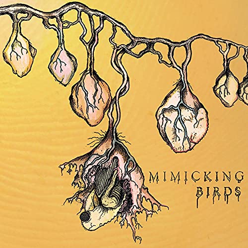 Mimicking Birds [Vinyl LP] von Import