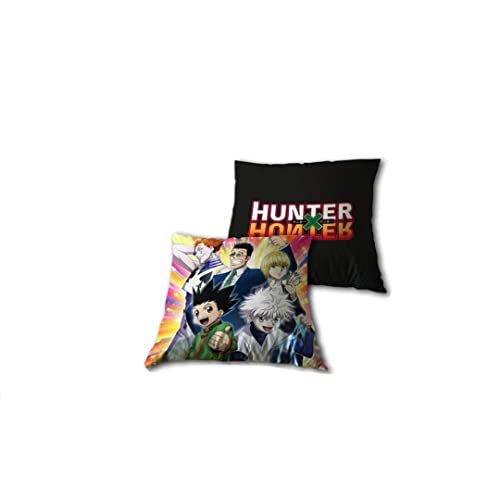 NEW IMPORT Cojin 35x35cm de Hunter X von Import