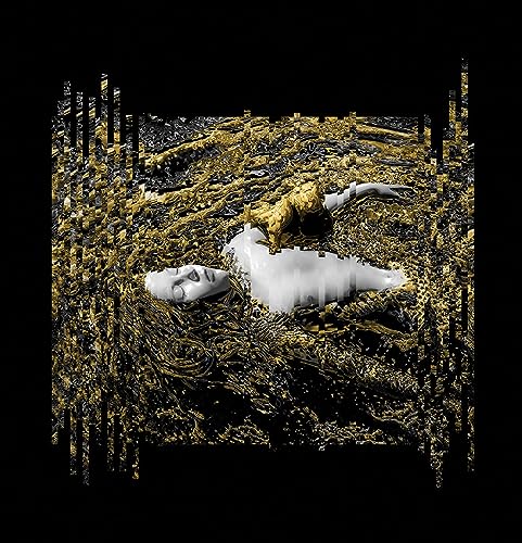 Briefe, die nie gesendet wurden von Important Records