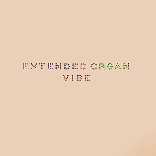Vibe [Vinyl LP] von Important Records